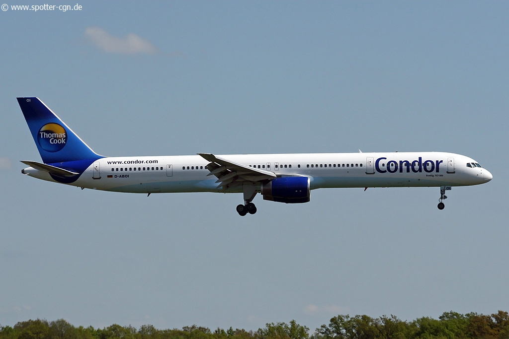 Condor d-aboi