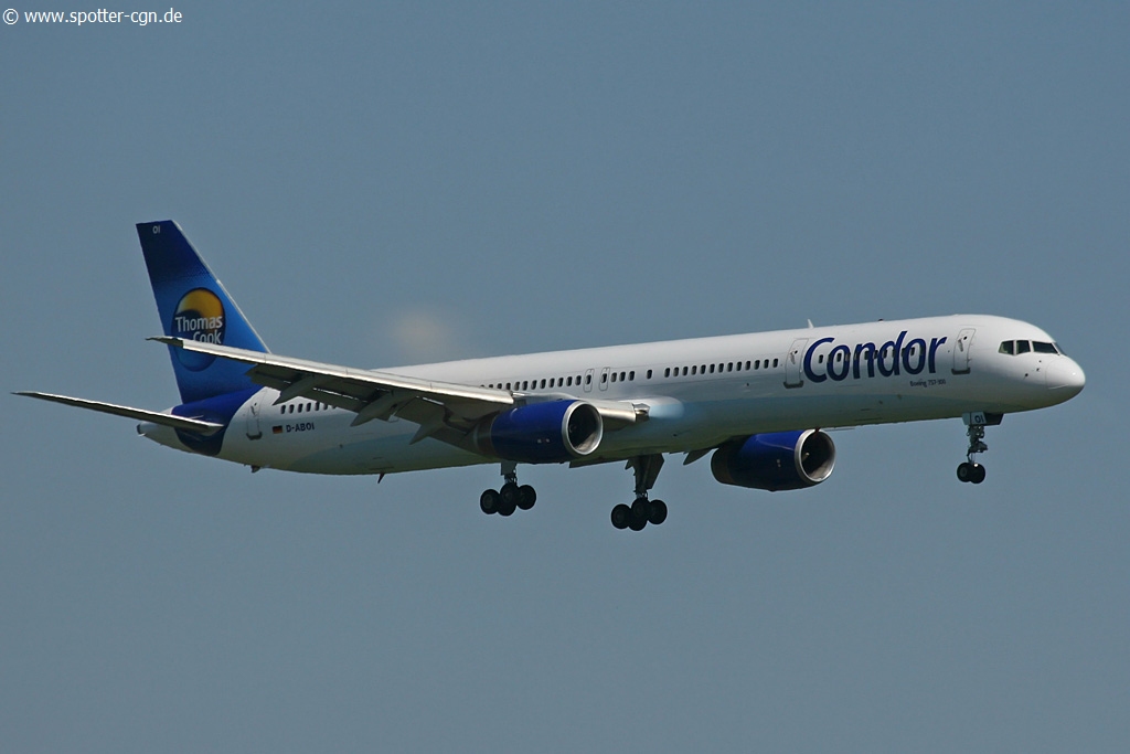 Condor d-aboi