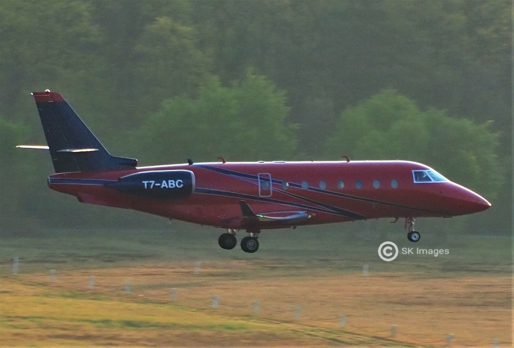 T7-ABC