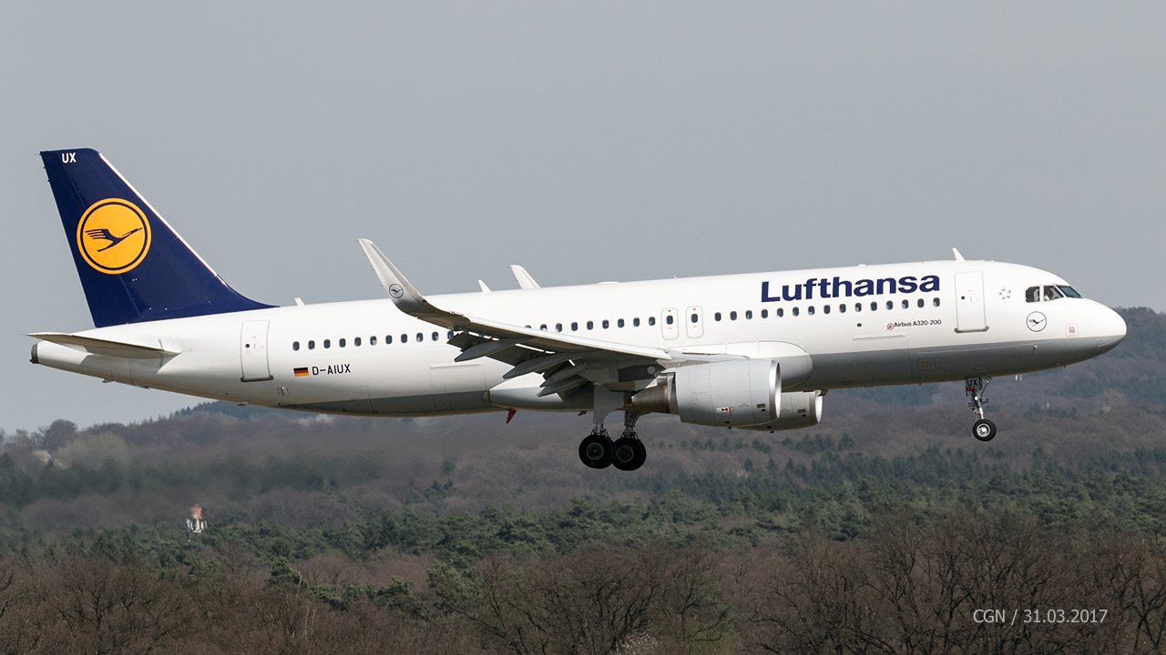 D-AIUX