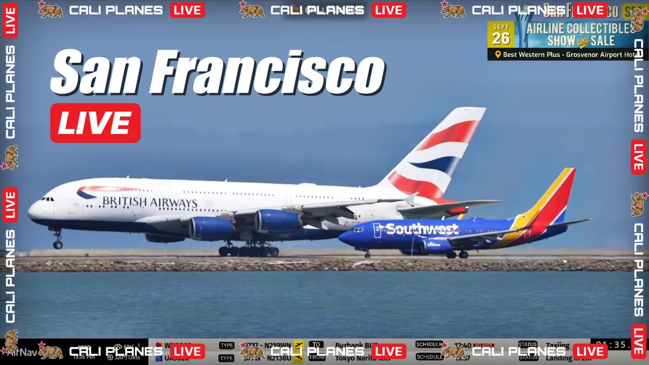 Youtube Vorschau - Video ID z6yjX-myyQ4